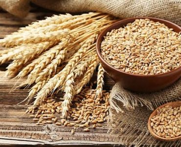 استرالیا در صدر صادرات جهانی جو؛ ایران در میان کشورهای دارای کسری تجاری استرالیا در صدر صادرات جهانی جو؛ ایران در میان کشورهای دارای کسری تجاری